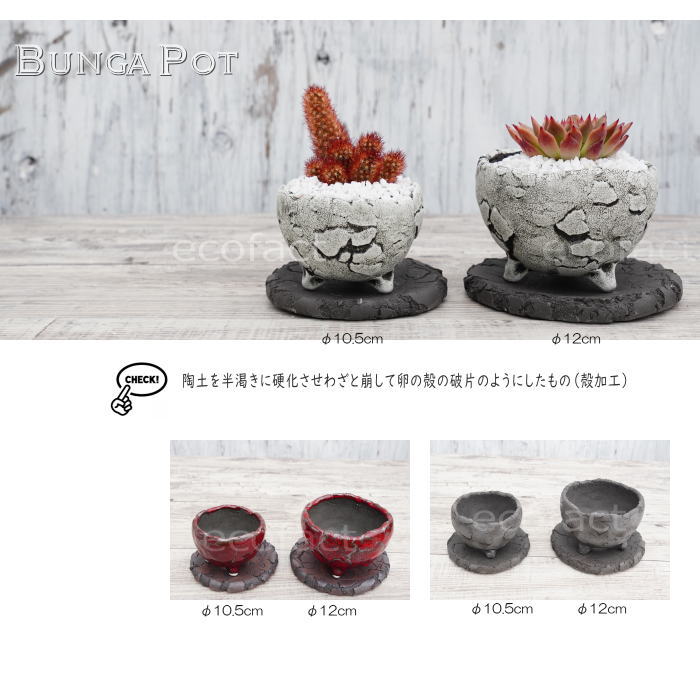 鉢皿 植木鉢 受け皿 鉢皿 ソーサー 陶器 日本製 有田焼 丸型 受皿 黒 ブラック (L)φ14cm 殻加工 BUNGA POT おしゃれ かわいい 陶芸鉢 宝寿窯 観葉植物 アガベ サボテン ビザールプランツ 塊根植物 コーデックス 多肉植物