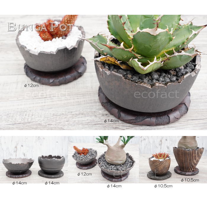 鉢皿 植木鉢 受け皿 鉢皿 ソーサー 陶器 日本製 有田焼 丸型 受皿 赤茶 レッドブラウン(S)φ10.5cm 殻加工 BUNGA POT おしゃれ かわいい 陶芸鉢 宝寿窯 観葉植物 アガベ サボテン ビザールプランツ 塊根植物 コーデックス 多肉植物