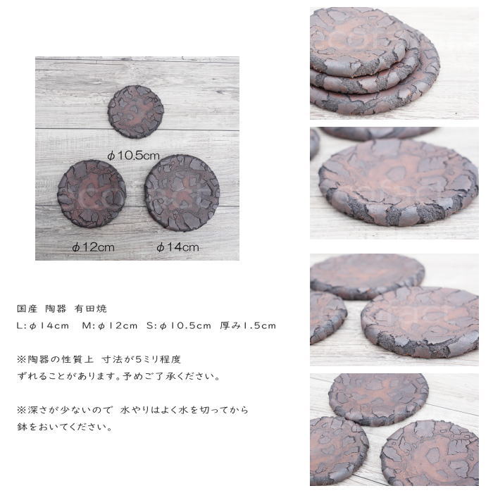 鉢皿 植木鉢 受け皿 鉢皿 ソーサー 陶器 日本製 有田焼 丸型 受皿 赤茶 レッドブラウン(S)φ10.5cm 殻加工 BUNGA POT おしゃれ かわいい 陶芸鉢 宝寿窯 観葉植物 アガベ サボテン ビザールプランツ 塊根植物 コーデックス 多肉植物