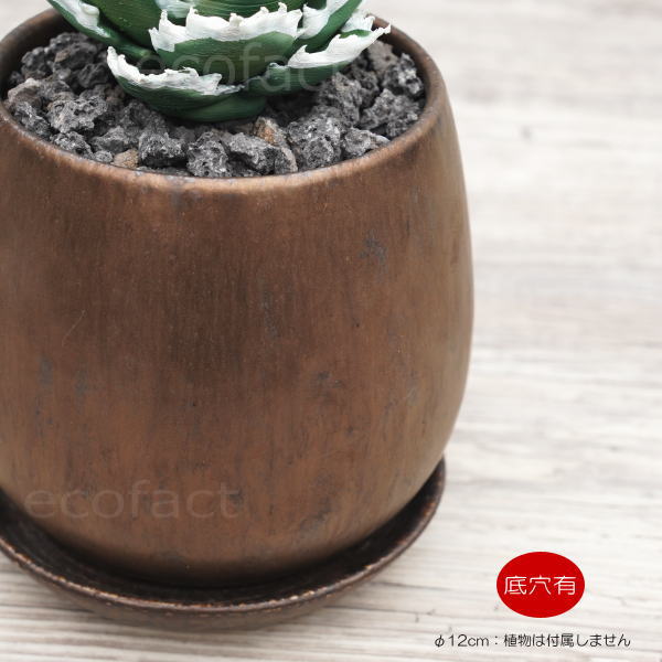 陶器鉢 植木鉢 ミニポット 皿付 ソルエッグ ブロンズ φ12cm おしゃれ かわいい プランター 園芸鉢 観葉植物 アガベ サボテン ビザールプランツ 塊根植物 コーデックス 多肉植物
