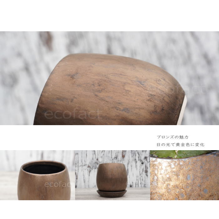 陶器鉢 植木鉢 ミニポット 皿付 ソルエッグ ブロンズ φ12cm おしゃれ かわいい プランター 園芸鉢 観葉植物 アガベ サボテン ビザールプランツ 塊根植物 コーデックス 多肉植物