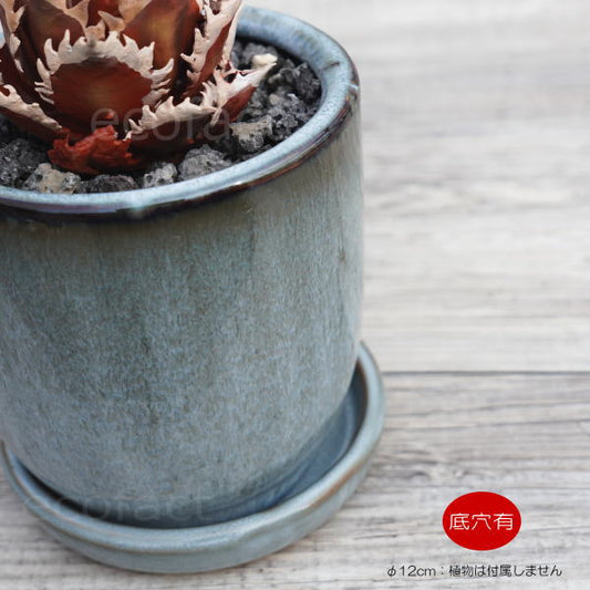陶器鉢 植木鉢 ミニポット 皿付 ソルポット  ブルー  φ12cm おしゃれ かわいい プランター 園芸鉢 観葉植物 アガベ サボテン ビザールプランツ 塊根植物 コーデックス 多肉植物