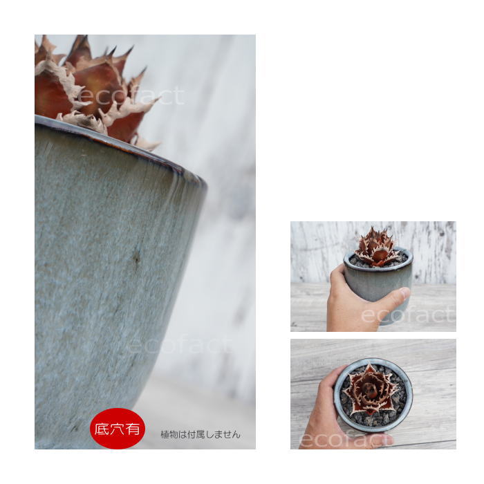 陶器鉢 植木鉢 ミニポット 皿付 ソルポット ブルー φ12cm おしゃれ かわいい プランター 園芸鉢 観葉植物 アガベ サボテン ビザールプランツ 塊根植物 コーデックス 多肉植物
