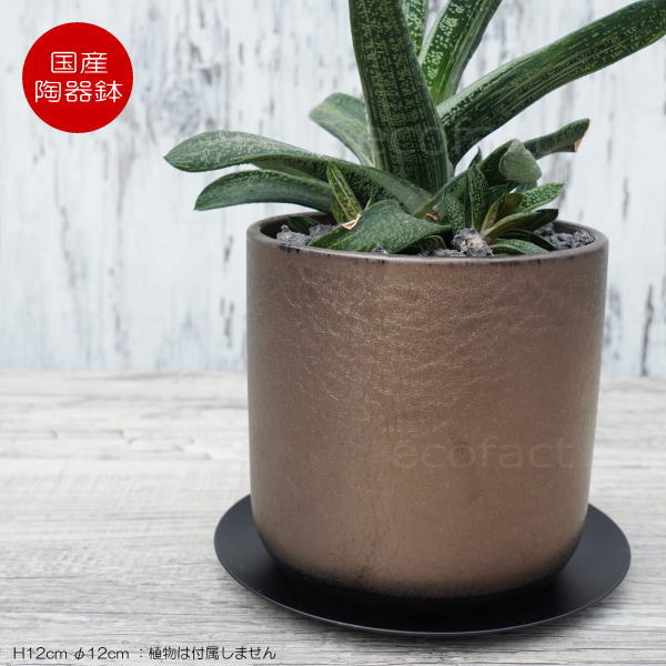 陶器鉢 植木鉢 ミニポット 皿付 みやび M 筒型 ブロンズ φ12cm 国産鉢 おしゃれ かわいい プランター 園芸鉢 観葉植物 アガベ サボテン ビザールプランツ 塊根植物 コーデックス 多肉植物
