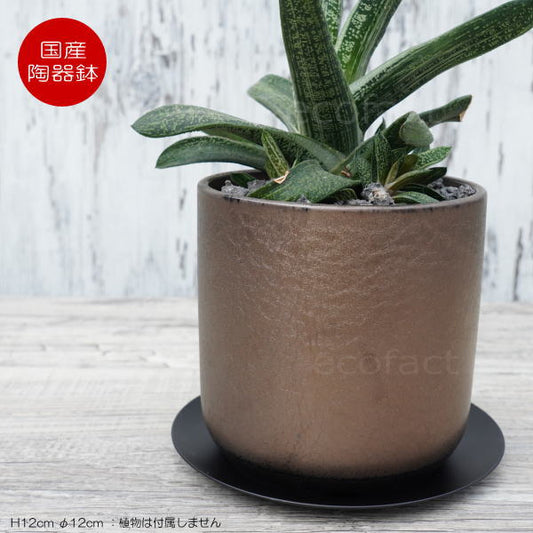 陶器鉢 植木鉢 ミニポット 皿付 みやび  M  筒型 ブロンズ  φ12cm  国産鉢 おしゃれ かわいい プランター 園芸鉢 観葉植物 アガベ サボテン ビザールプランツ 塊根植物 コーデックス 多肉植物