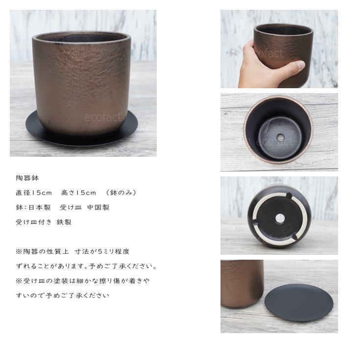 陶器鉢 植木鉢 ミニポット 皿付 みやび M 筒型 ブロンズ φ12cm 国産鉢 おしゃれ かわいい プランター 園芸鉢 観葉植物 アガベ サボテン ビザールプランツ 塊根植物 コーデックス 多肉植物