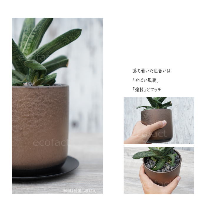 陶器鉢 植木鉢 ミニポット 皿付 みやび M 筒型 ブロンズ φ12cm 国産鉢 おしゃれ かわいい プランター 園芸鉢 観葉植物 アガベ サボテン ビザールプランツ 塊根植物 コーデックス 多肉植物