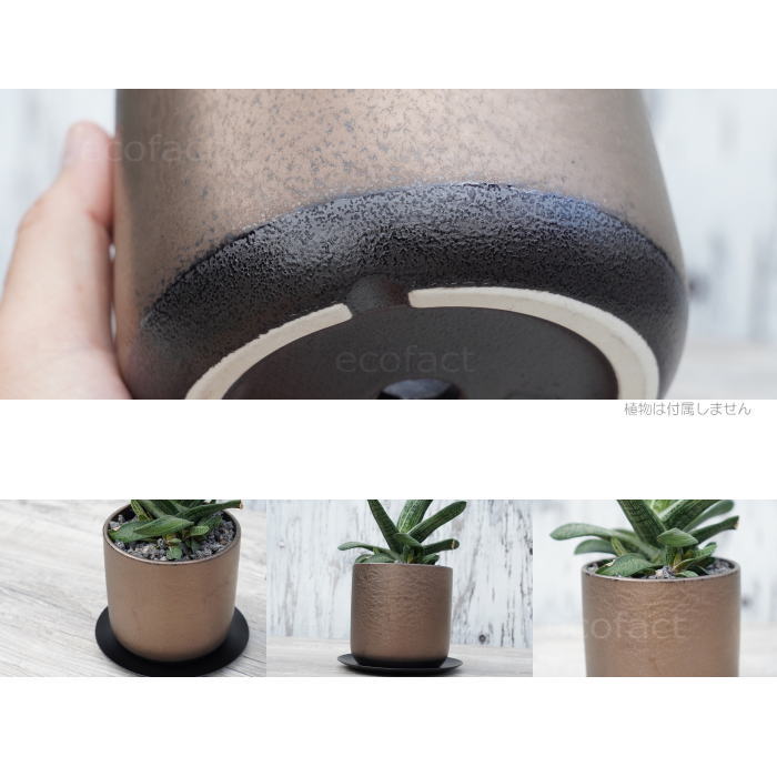 陶器鉢 植木鉢 ミニポット 皿付 みやび M 筒型 ブロンズ φ12cm 国産鉢 おしゃれ かわいい プランター 園芸鉢 観葉植物 アガベ サボテン ビザールプランツ 塊根植物 コーデックス 多肉植物