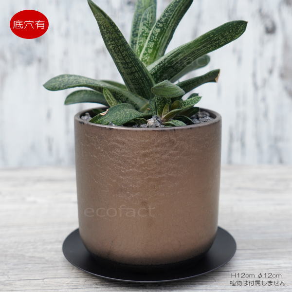 陶器鉢 植木鉢 ミニポット 皿付 みやび M 筒型 ブロンズ φ12cm 国産鉢 おしゃれ かわいい プランター 園芸鉢 観葉植物 アガベ サボテン ビザールプランツ 塊根植物 コーデックス 多肉植物