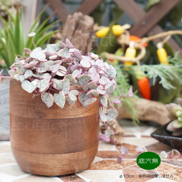 ブリックカップ SS 木製 鉢 鉢カバー 植木鉢 ミニポット 底穴無し φ10cm おしゃれ かわいい プランター 観葉植物 多肉植物 アグラオネマ カラテア フィロデンドロン
