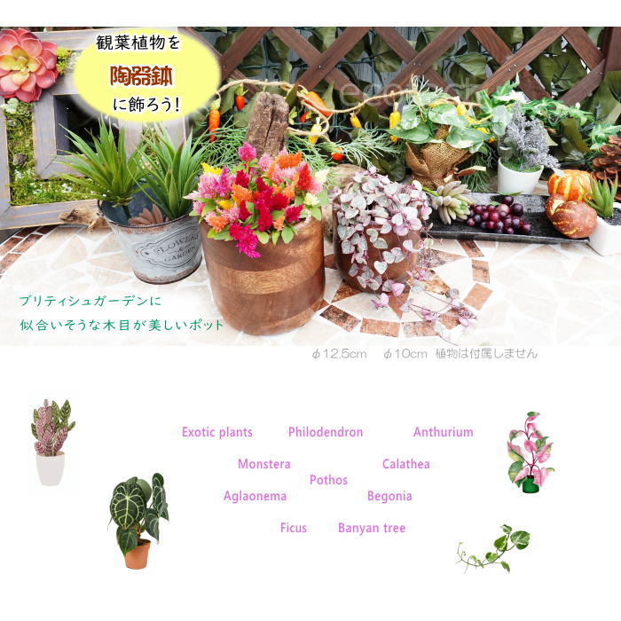 ブリックカップ S 木製 鉢 鉢カバー 植木鉢 ミニポット 底穴無し φ12.5cm おしゃれ かわいい プランター 観葉植物 多肉植物 アグラオネマ カラテア フィロデンドロン