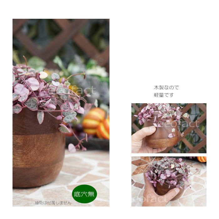 ブリックカップ SS 木製 鉢 鉢カバー 植木鉢 ミニポット 底穴無し φ10cm おしゃれ かわいい プランター 観葉植物 多肉植物 アグラオネマ カラテア フィロデンドロン