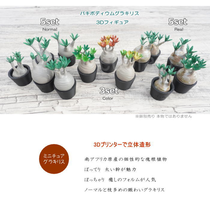 3D フィギュア ミニチュア 5セット リアル パキポディウム グラキリス フェイクグリーン オーナメント 造花 人工観葉植物 良形 美株 樹脂 造形 塊根植物 コーデックス 多肉植物 おしゃれ ガーデニング 雑貨 LOBINDON