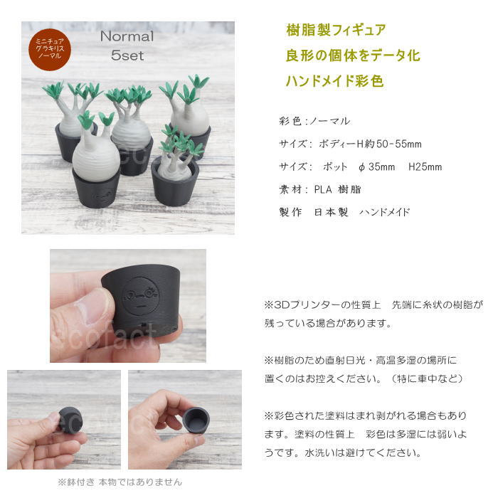 3D フィギュア ミニチュア 5セットノーマル パキポディウム グラキリス フェイクグリーン オーナメント 造花 人工観葉植物 良形 美株 樹脂 造形 塊根植物 コーデックス 多肉植物 おしゃれ ガーデニング 雑貨 LOBINDON