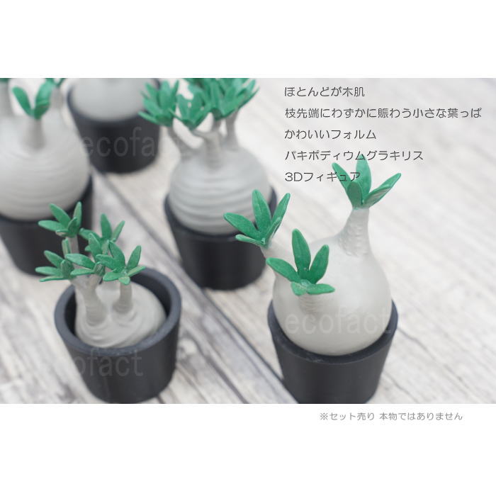 3D フィギュア ミニチュア 5セットノーマル パキポディウム グラキリス フェイクグリーン オーナメント 造花 人工観葉植物 良形 美株 樹脂 造形 塊根植物 コーデックス 多肉植物 おしゃれ ガーデニング 雑貨 LOBINDON