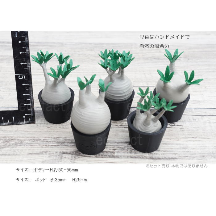 3D フィギュア ミニチュア 5セットノーマル パキポディウム グラキリス フェイクグリーン オーナメント 造花 人工観葉植物 良形 美株 樹脂 造形 塊根植物 コーデックス 多肉植物 おしゃれ ガーデニング 雑貨 LOBINDON