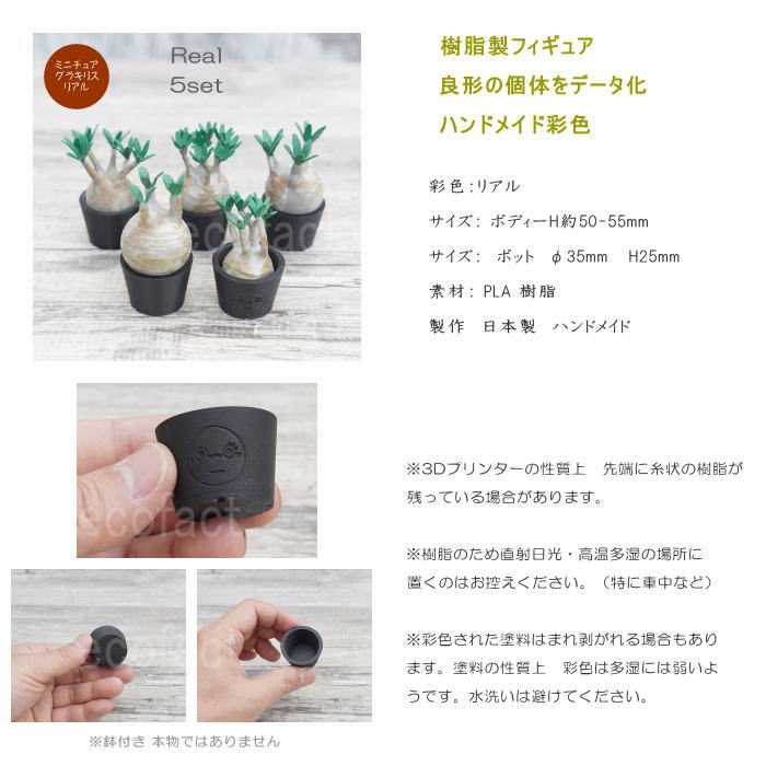 3D フィギュア ミニチュア 5セット リアル パキポディウム グラキリス フェイクグリーン オーナメント 造花 人工観葉植物 良形 美株 樹脂 造形 塊根植物 コーデックス 多肉植物 おしゃれ ガーデニング 雑貨 LOBINDON