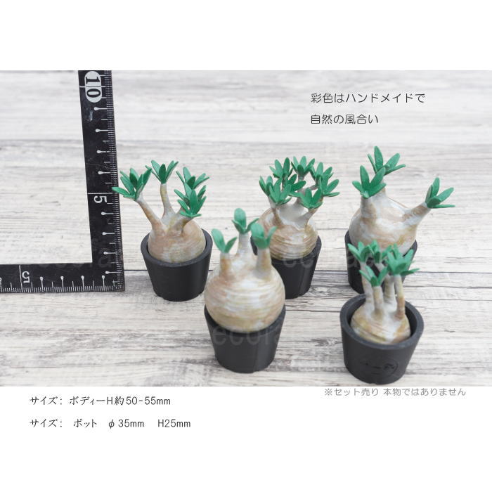 3D フィギュア ミニチュア 5セット リアル パキポディウム グラキリス フェイクグリーン オーナメント 造花 人工観葉植物 良形 美株 樹脂 造形 塊根植物 コーデックス 多肉植物 おしゃれ ガーデニング 雑貨 LOBINDON
