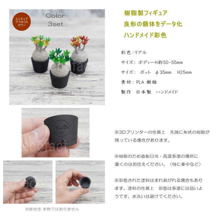 3D フィギュア ミニチュア 3セット カラー パキポディウム グラキリス フェイクグリーン オーナメント 造花 人工観葉植物 良形 美株 樹脂 造形 塊根植物 コーデックス 多肉植物 おしゃれ ガーデニング 雑貨 LOBINDON