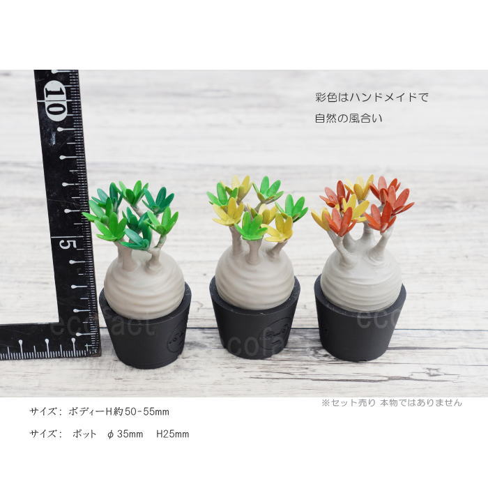 3D フィギュア ミニチュア 3セット カラー パキポディウム グラキリス フェイクグリーン オーナメント 造花 人工観葉植物 良形 美株 樹脂 造形 塊根植物 コーデックス 多肉植物 おしゃれ ガーデニング 雑貨 LOBINDON