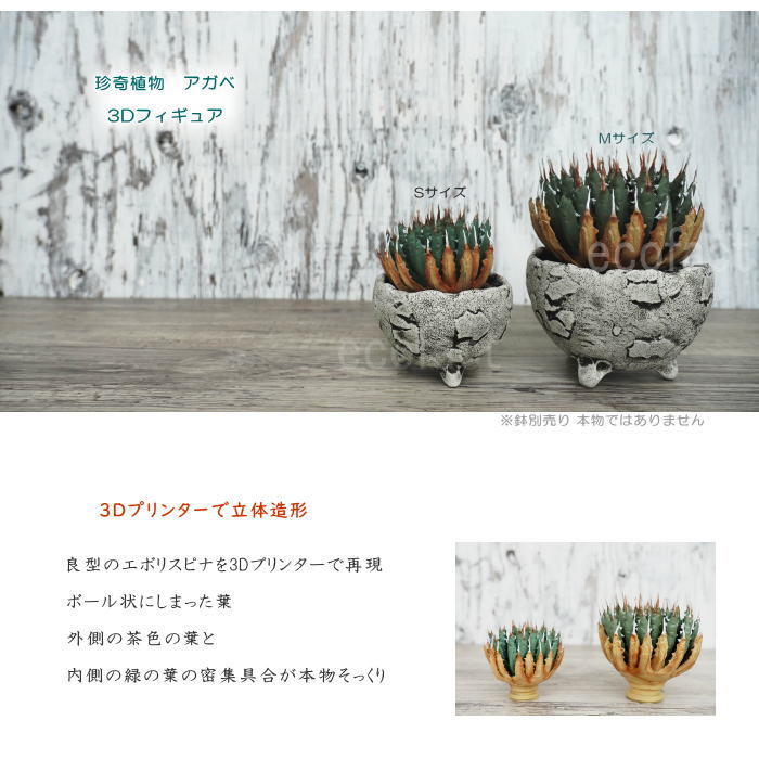 フェイクグリーン 3D フィギュア アガベ ユタエンシス エボリスピナ Sサイズ オーナメント 造花 人工観葉植物 強棘 良形 美株 樹脂 造形 塊根植物 コーデックス 多肉植物 おしゃれ ガーデニング 雑貨 LOBINDON 鉢別売り