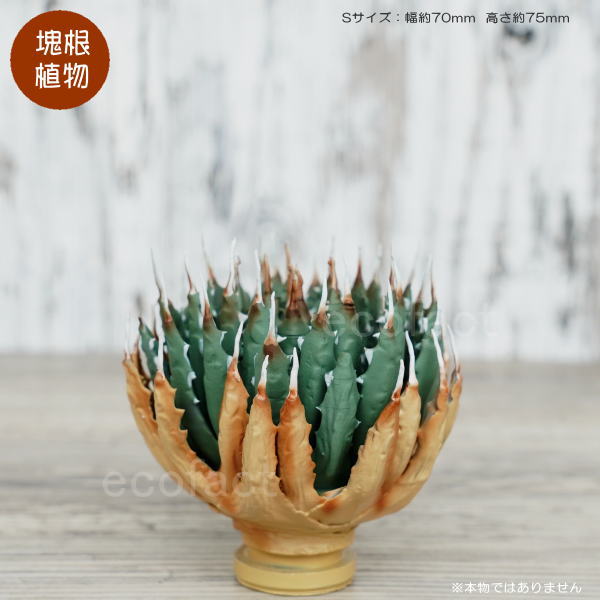 フェイクグリーン 3D フィギュア アガベ ユタエンシス エボリスピナ Sサイズ φ70mm オーナメント 造花 人工観葉植物 強棘 良形 美株 樹脂 造形 塊根植物 コーデックス 多肉植物 おしゃれ ガーデニング 雑貨 LOBINDON 鉢別売り