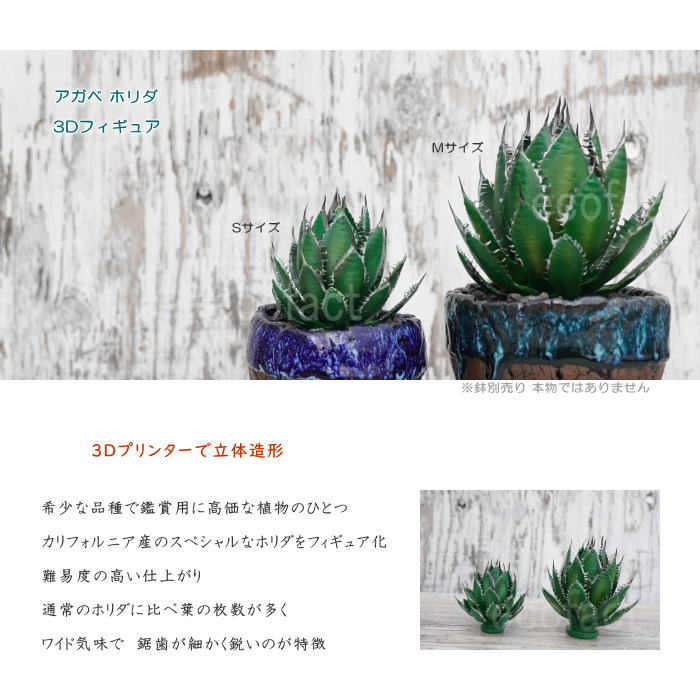フェイクグリーン 3D フィギュア アガベ ホリダ カリフォルニア Sサイズ オーナメント 造花 人工観葉植物 強棘 良形 美株 樹脂 造形 塊根植物 コーデックス 多肉植物 おしゃれ ガーデニング 雑貨 LOBINDON 鉢別売り