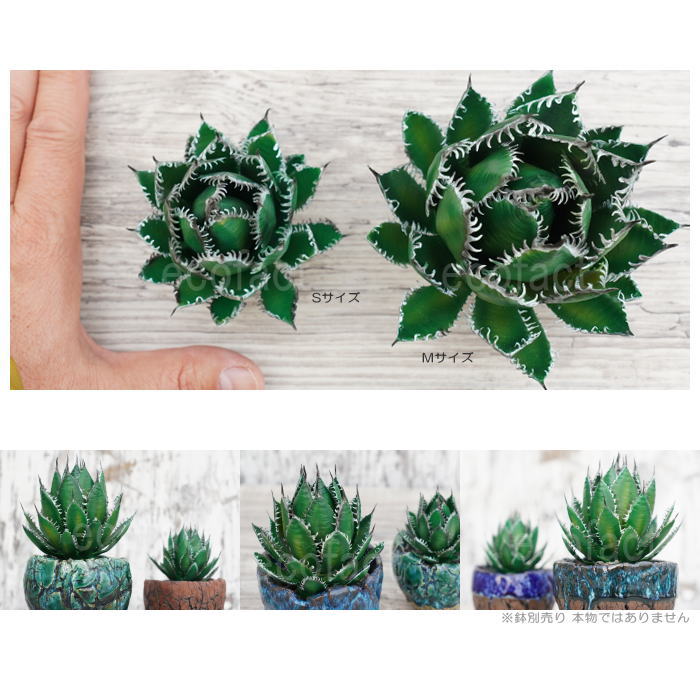 フェイクグリーン 3D フィギュア アガベ ホリダ カリフォルニア Sサイズ オーナメント 造花 人工観葉植物 強棘 良形 美株 樹脂 造形 塊根植物 コーデックス 多肉植物 おしゃれ ガーデニング 雑貨 LOBINDON 鉢別売り