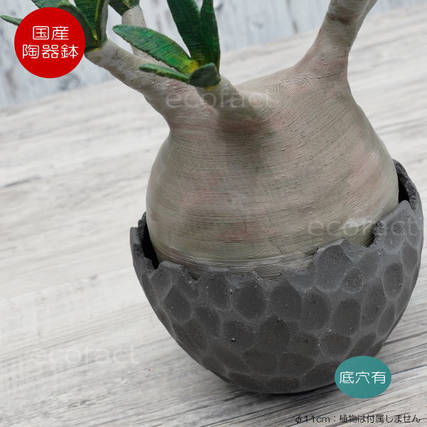 陶器鉢 植木鉢 ミニポット 底穴あり BUNGA POT カービング ブラック(小)艶消し 黒 φ11cm おしゃれ かわいい プランター 宝寿窯 有田焼 陶芸鉢 観葉植物 アガベ サボテン ビザールプランツ 塊根植物 コーデックス 多肉植物