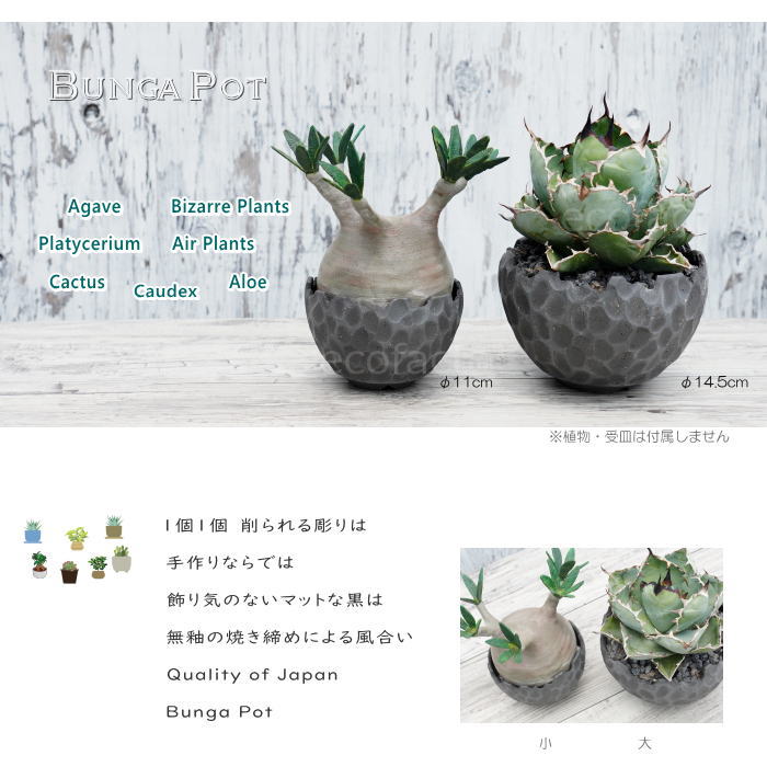 陶器鉢 植木鉢 ミニポット 底穴あり BUNGA POT カービング ブラック(小)艶消し 黒 φ11cm おしゃれ かわいい プランター 宝寿窯 有田焼 陶芸鉢 観葉植物 アガベ サボテン ビザールプランツ 塊根植物 コーデックス 多肉植物