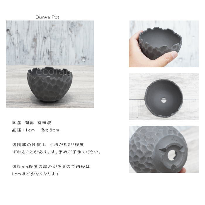 陶器鉢 植木鉢 ミニポット 底穴あり BUNGA POT カービング ブラック(小)艶消し 黒 φ11cm おしゃれ かわいい プランター 宝寿窯 有田焼 陶芸鉢 観葉植物 アガベ サボテン ビザールプランツ 塊根植物 コーデックス 多肉植物
