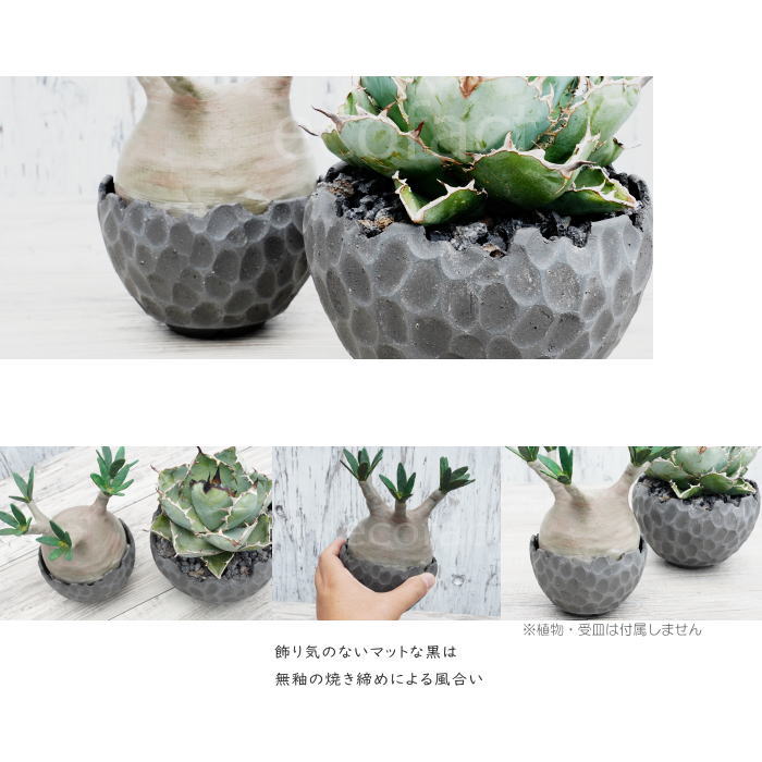 陶器鉢 植木鉢 ミニポット 底穴あり BUNGA POT カービング ブラック(小)艶消し 黒 φ11cm おしゃれ かわいい プランター 宝寿窯 有田焼 陶芸鉢 観葉植物 アガベ サボテン ビザールプランツ 塊根植物 コーデックス 多肉植物