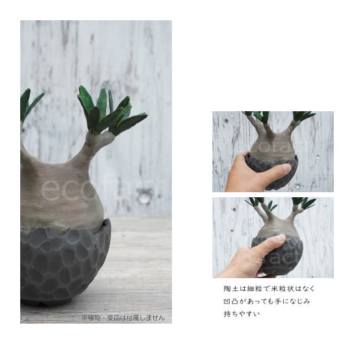 陶器鉢 植木鉢 ミニポット 底穴あり BUNGA POT カービング ブラック(小)艶消し 黒 φ11cm おしゃれ かわいい プランター 宝寿窯 有田焼 陶芸鉢 観葉植物 アガベ サボテン ビザールプランツ 塊根植物 コーデックス 多肉植物