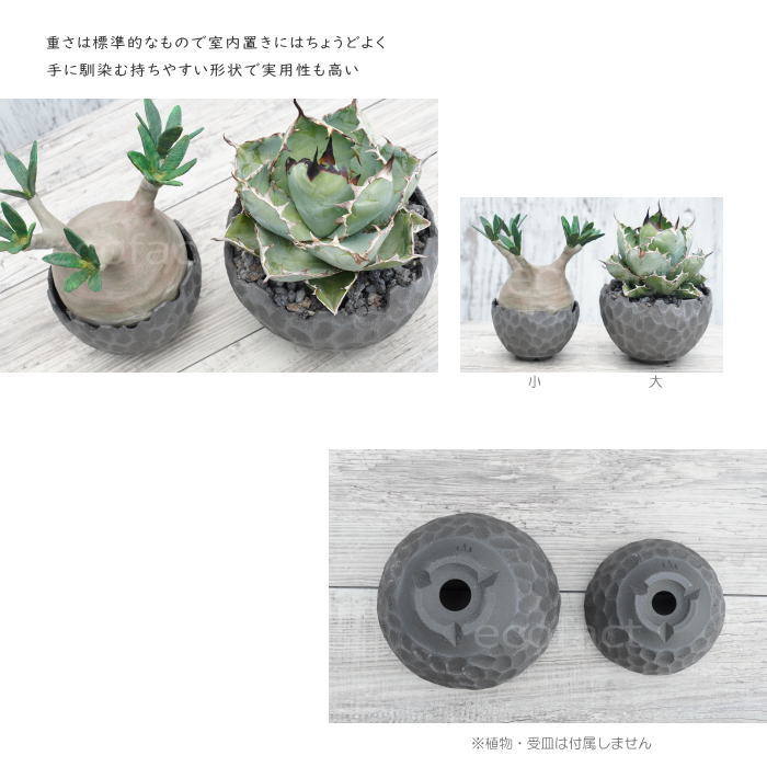 陶器鉢 植木鉢 ミニポット 底穴あり BUNGA POT カービング ブラック(小)艶消し 黒 φ11cm おしゃれ かわいい プランター 宝寿窯 有田焼 陶芸鉢 観葉植物 アガベ サボテン ビザールプランツ 塊根植物 コーデックス 多肉植物