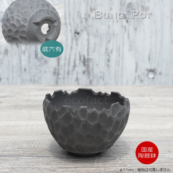 陶器鉢 植木鉢 ミニポット 底穴あり BUNGA POT カービング ブラック(小)艶消し 黒 φ11cm おしゃれ かわいい プランター 宝寿窯 有田焼 陶芸鉢 観葉植物 アガベ サボテン ビザールプランツ 塊根植物 コーデックス 多肉植物