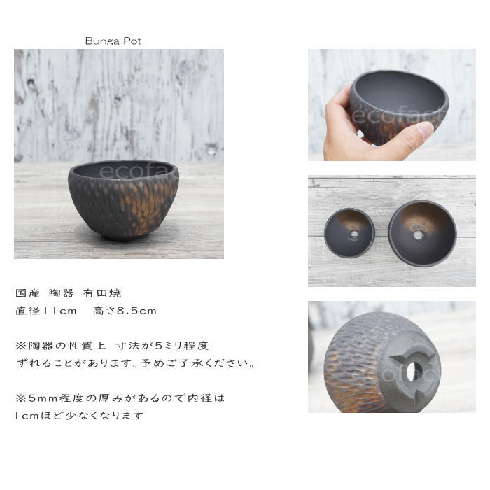 陶器鉢 植木鉢 ミニポット 底穴あり BUNGA POT カービング 金彩(小) φ11cm おしゃれ かわいい プランター 宝寿窯 有田焼 陶芸鉢 観葉植物 アガベ サボテン ビザールプランツ 塊根植物 コーデックス 多肉植物
