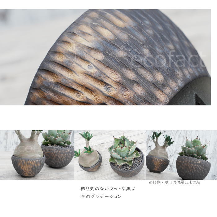 陶器鉢 植木鉢 ミニポット 底穴あり BUNGA POT カービング 金彩(小) φ11cm おしゃれ かわいい プランター 宝寿窯 有田焼 陶芸鉢 観葉植物 アガベ サボテン ビザールプランツ 塊根植物 コーデックス 多肉植物