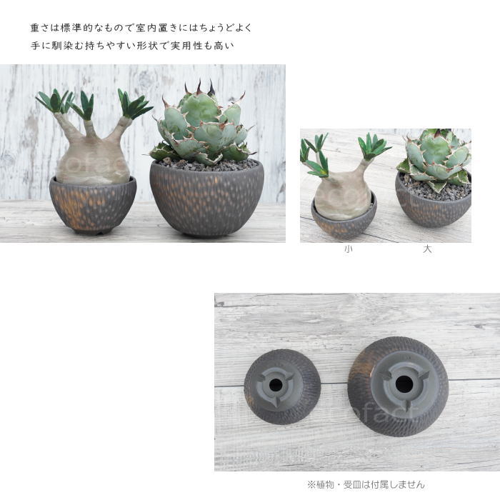陶器鉢 植木鉢 ミニポット 底穴あり BUNGA POT カービング 金彩(大) φ14.5cm おしゃれ かわいい プランター 宝寿窯 有田焼 陶芸鉢 観葉植物 アガベ サボテン ビザールプランツ 塊根植物 コーデックス 多肉植物