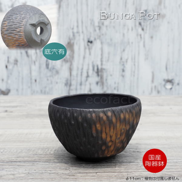 陶器鉢 植木鉢 ミニポット 底穴あり BUNGA POT カービング 金彩(小) φ11cm おしゃれ かわいい プランター 宝寿窯 有田焼 陶芸鉢 観葉植物 アガベ サボテン ビザールプランツ 塊根植物 コーデックス 多肉植物