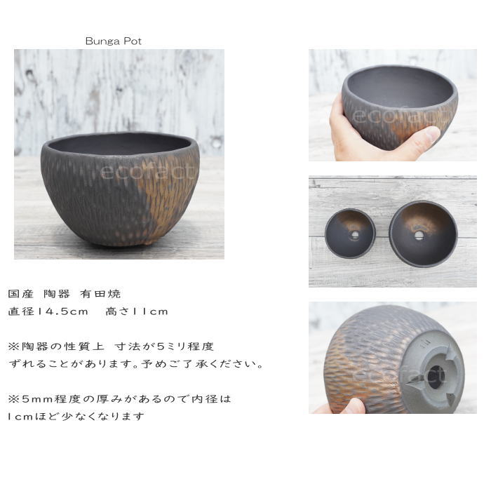 陶器鉢 植木鉢 ミニポット 底穴あり BUNGA POT カービング 金彩(大) φ14.5cm おしゃれ かわいい プランター 宝寿窯 有田焼 陶芸鉢 観葉植物 アガベ サボテン ビザールプランツ 塊根植物 コーデックス 多肉植物