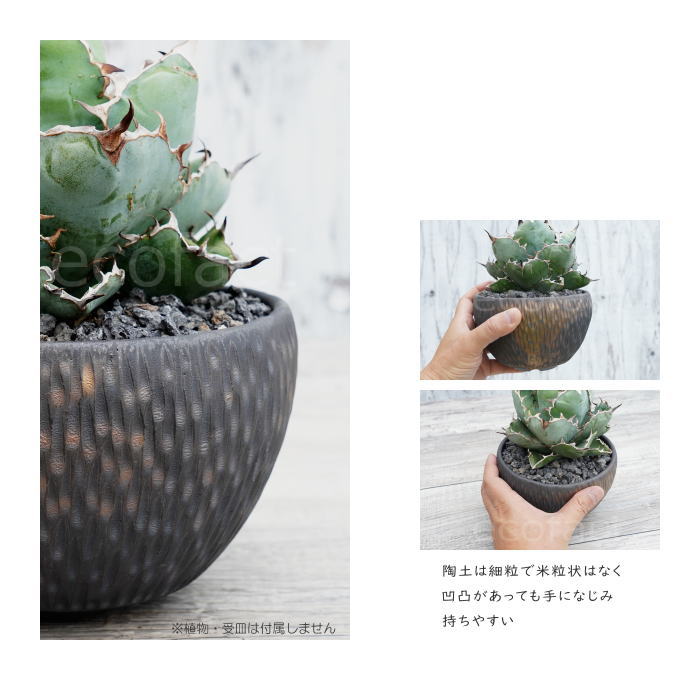 陶器鉢 植木鉢 ミニポット 底穴あり BUNGA POT カービング 金彩(大) φ14.5cm おしゃれ かわいい プランター 宝寿窯 有田焼 陶芸鉢 観葉植物 アガベ サボテン ビザールプランツ 塊根植物 コーデックス 多肉植物