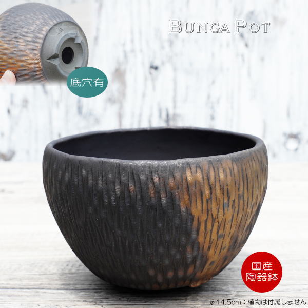 陶器鉢 植木鉢 ミニポット 底穴あり BUNGA POT カービング 金彩(大) φ14.5cm おしゃれ かわいい プランター 宝寿窯 有田焼 陶芸鉢 観葉植物 アガベ サボテン ビザールプランツ 塊根植物 コーデックス 多肉植物