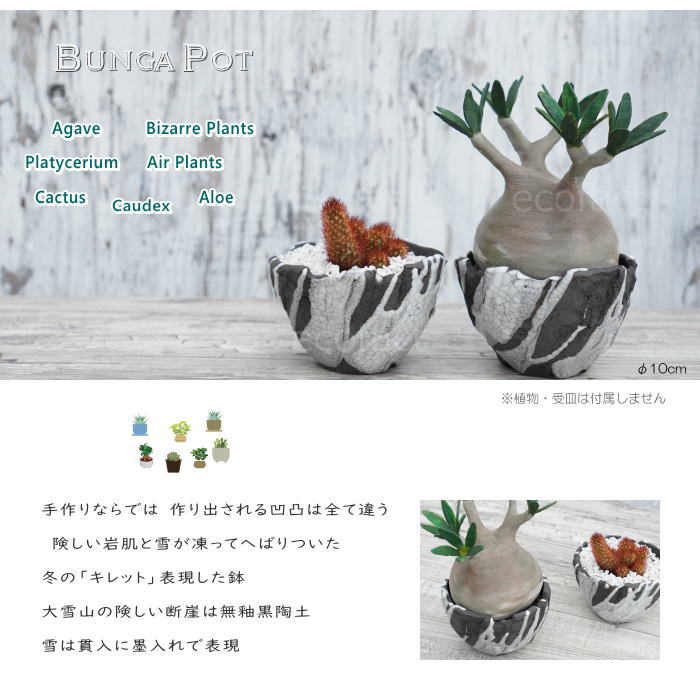 陶器鉢 植木鉢 ミニポット 底穴あり BUNGA POT キレット 貫入墨入れ φ10cm おしゃれ かわいい プランター 宝寿窯 有田焼 陶芸鉢 観葉植物 アガベ サボテン ビザールプランツ 塊根植物 コーデックス 多肉植物