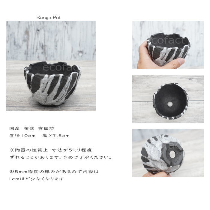 陶器鉢 植木鉢 ミニポット 底穴あり BUNGA POT キレット 貫入墨入れ φ10cm おしゃれ かわいい プランター 宝寿窯 有田焼 陶芸鉢 観葉植物 アガベ サボテン ビザールプランツ 塊根植物 コーデックス 多肉植物