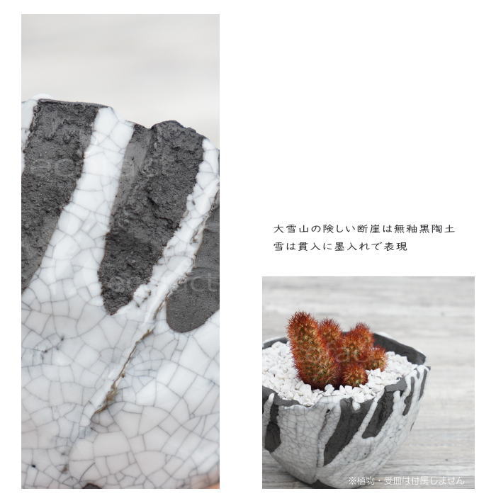陶器鉢 植木鉢 ミニポット 底穴あり BUNGA POT キレット 貫入墨入れ φ10cm おしゃれ かわいい プランター 宝寿窯 有田焼 陶芸鉢 観葉植物 アガベ サボテン ビザールプランツ 塊根植物 コーデックス 多肉植物