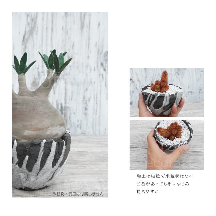 陶器鉢 植木鉢 ミニポット 底穴あり BUNGA POT キレット 貫入墨入れ φ10cm おしゃれ かわいい プランター 宝寿窯 有田焼 陶芸鉢 観葉植物 アガベ サボテン ビザールプランツ 塊根植物 コーデックス 多肉植物