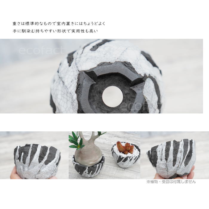 陶器鉢 植木鉢 ミニポット 底穴あり BUNGA POT キレット 貫入墨入れ φ10cm おしゃれ かわいい プランター 宝寿窯 有田焼 陶芸鉢 観葉植物 アガベ サボテン ビザールプランツ 塊根植物 コーデックス 多肉植物