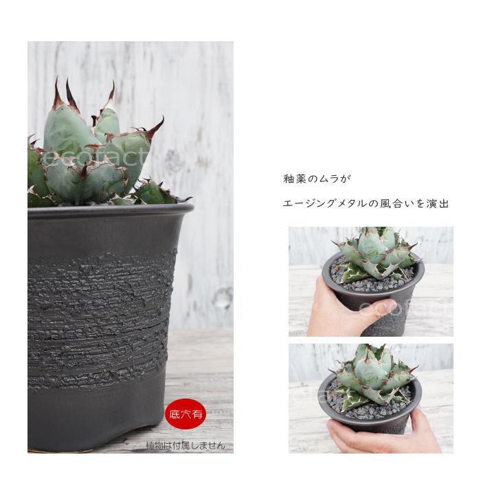 陶器鉢 植木鉢 縦長鉢 メタル(焼鉄色 )φ16cm おしゃれ プランター 園芸鉢 かみ山陶器 信楽焼 観葉植物 アガベ サボテン ビザールプランツ 塊根植物 コーデックス 多肉植物 ポット