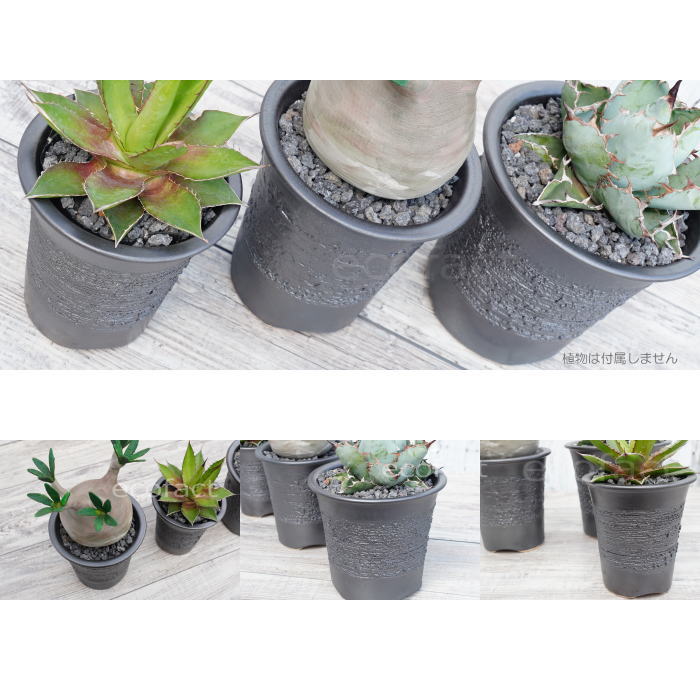 陶器鉢 植木鉢 縦長鉢 メタル(焼鉄色 )φ16cm おしゃれ プランター 園芸鉢 かみ山陶器 信楽焼 観葉植物 アガベ サボテン ビザールプランツ 塊根植物 コーデックス 多肉植物 ポット