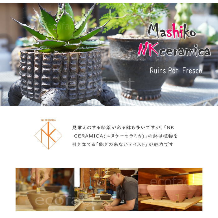 陶器鉢 植木鉢 小鉢 底穴あり 益子焼 Ruins Pot Fresco そり低 φ12cm おしゃれ 園芸鉢 プランター アガベ コーデックス 塊根植物 NK CERAMICA(エヌケーセラミカ)